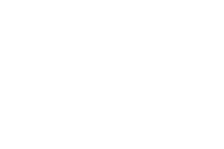 BMW-wit