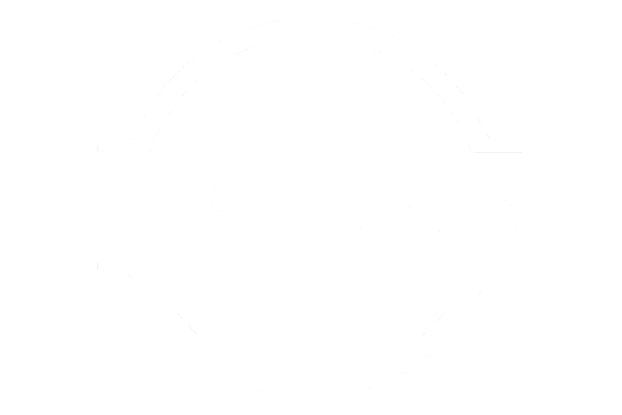 Nissan-wit