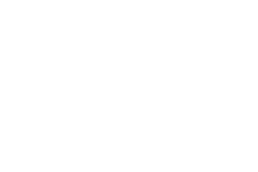 VeiligThuis-wit
